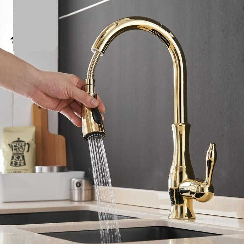 Contemporary Kitchen Mixer Tap with Pull-Out Spray & 360° Swivel Spout for Enhanced Functionality