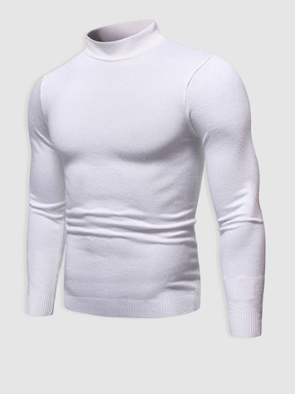Darryl | Men's Stylish Slim-Fit Turtleneck Pullover Sweater