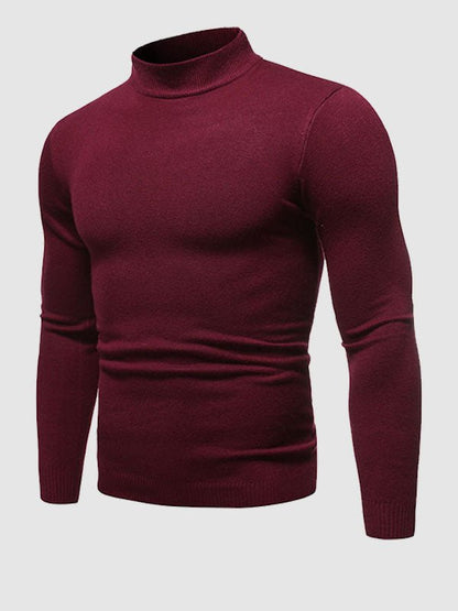Darryl | Men's Stylish Slim-Fit Turtleneck Pullover Sweater