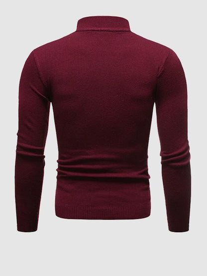 Darryl | Men's Stylish Slim-Fit Turtleneck Pullover Sweater