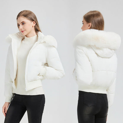 Chloe | Women's Hooded Short Puffer Bomber Jacket