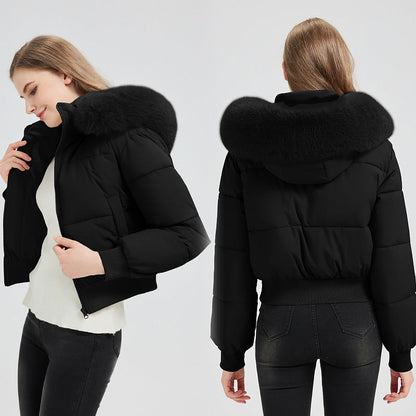 Chloe | Women's Hooded Short Puffer Bomber Jacket